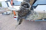 More work needed to keep Washington’s waters clear of aquatic invasive species program works to…