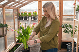 How to Prepare Your Greenhouse for Spring