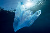 A Glimpse into the Severest Plastic Ban in the World