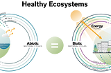 Decarbonizing The Grids With Demand Response