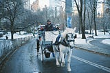 POLL: Should New York City ban horse-drawn carriages? Let us know your opinion!