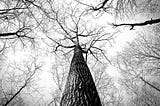 Lambda Calculus with JavaScript