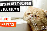 6 Tips To Get Through The Social Distancing Lockdown Without Going Crazy.