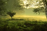 Weekly Roundup: Nature Lowers Pain in the Brain, Parenthood Keeps the Brain Young, Changing…