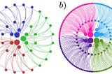 Thinking Big about Bitcoin Again: Revisiting the Complex Social Network