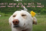 How We Show Up When We Can’t Show Up: A Decade of Sending Love (and Memes) Across the Universe