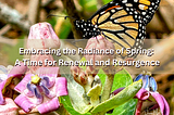 Embracing the Radiance of Spring: A Time for Renewal and Resurgence