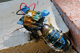 Cyborg Insects Update