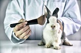 Ethical Dilemma of Animal Testing in Scientific Research