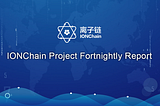 IONChain Project Fortnightly Report [12.23–01.05]