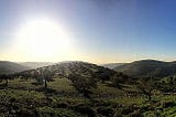 The sun is low behind soft green hills with some trees and scattered rocks in a panoramic photo of the Ramallah hills.