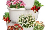 Hourleey Strawberry Planter, 5 Tier Stackable Gaden Tower for Flowers, Vegetables, Grow Your Own Herb Garden Vertical Oasis of Vegetables and Succulents