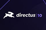New Directus SDK, auth local storage