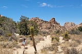 A Walk Through Joshua Tree