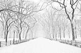 Navigating the Environmental Challenges and Joys of the Season