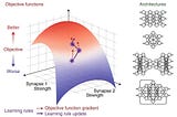 AI and Neuroscience — Part 3: How can deep learning help neuroscience