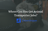 Where Can You Get Animal Transporter Jobs?