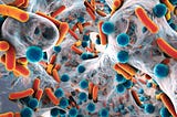 What are biofilms? How do they cause antimicrobial resistance (AMR)?