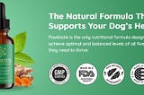 Pawbiotix for Pets Gut Health Formula: Everything You Need to Know!