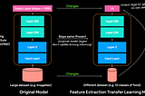 Pytorch 凍結與解凍模型參數、layer 設置不同 learning rate