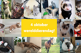 Waf waf, miaauw miaaaaaauw het is werelddierendag!