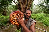 The Problem With Palm Oil