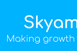 How we approach all projects + our values at Skyamo