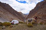 Crossing the Himalayas In 5 Months: From LEH To Kathmandu