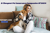 8 Cheapest Pet Insurance Companies Of 2024