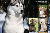 PDF Download# Encyclopedia of Dog Breeds Read *book &ePub