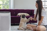 Best Air Purifier for Pets: Breathe Easy with Airdog