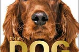 [Download-> The Dog Encyclopedia: The Definitive Visual Guide BY - D.K. Publishing