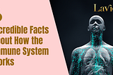 6 Incredible Facts About How the Immune System Works