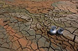 Climate crisis set to treble migration in South Asia by 2050