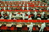 Beyond mimicry: economic strategies of China’s postcolonial resistance