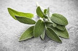 Sage Leaves Health Benefits & Nutrition