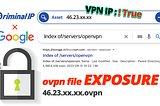 Detect OpenVPN Vulnerability That Makes Paid VPNs Free