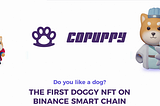 CoPuppy — це протокол GameFi з послугами збору, битвами, позиками NFT та рейтингами NFT