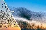 A Grand Challenge Design Summit Unites Participants, Catalyzes Thrust