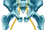 Can An Osteopath Help With Sciatica?
