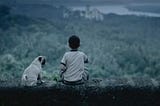 Paws and Perspectives: The Ripple Effect of Pets in Ads