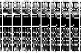 How I Built A Custom Protein-Binding Dataset for Machine Learning (in 5 Steps)