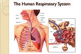 Introduction to Pranayama