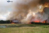 View of the wildfires in Alberta, Canada, showing fire in the timber with massive smoke plume rising in the background, lake and wetland in the foreground, and helicopter filling a drop-bucket with water to drop on the advancing flames. From the Alberta provincial website: https://www.alberta.ca/alberta-wildfire.aspx.