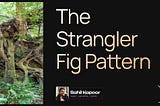 The Strangler Fig Pattern: Growing Around Legacy
