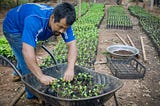 Integrated capital in action: Guayakí Yerba Mate