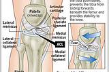 EXPERIMENT> Wearable ACL Tear Detector