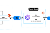 How to Use ZTM to Access Home/Private Networks