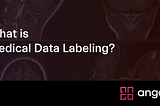 What is Medical Data Labeling?