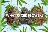 what is cbd flower? a guide to smoking cbd